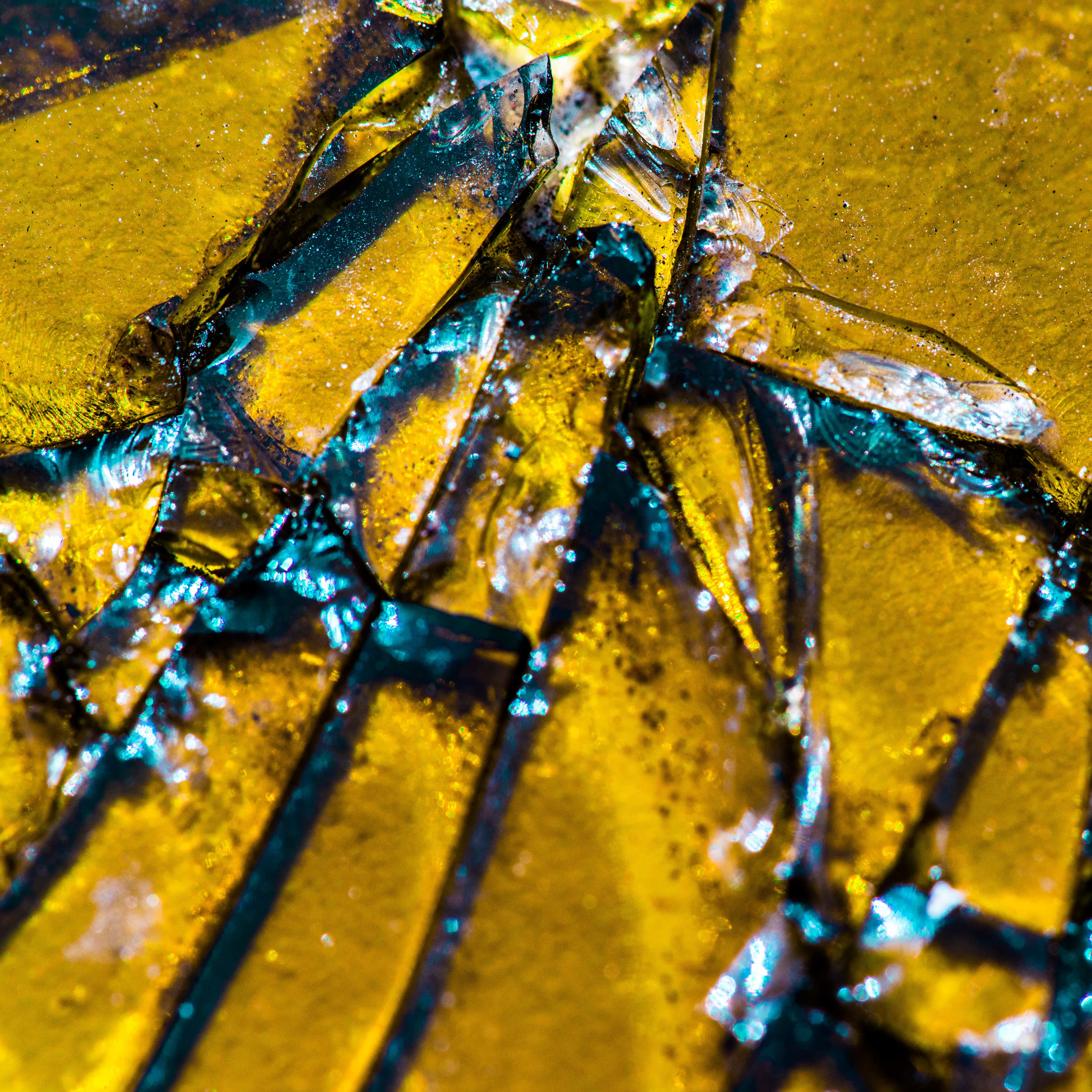 Fine-Art 8