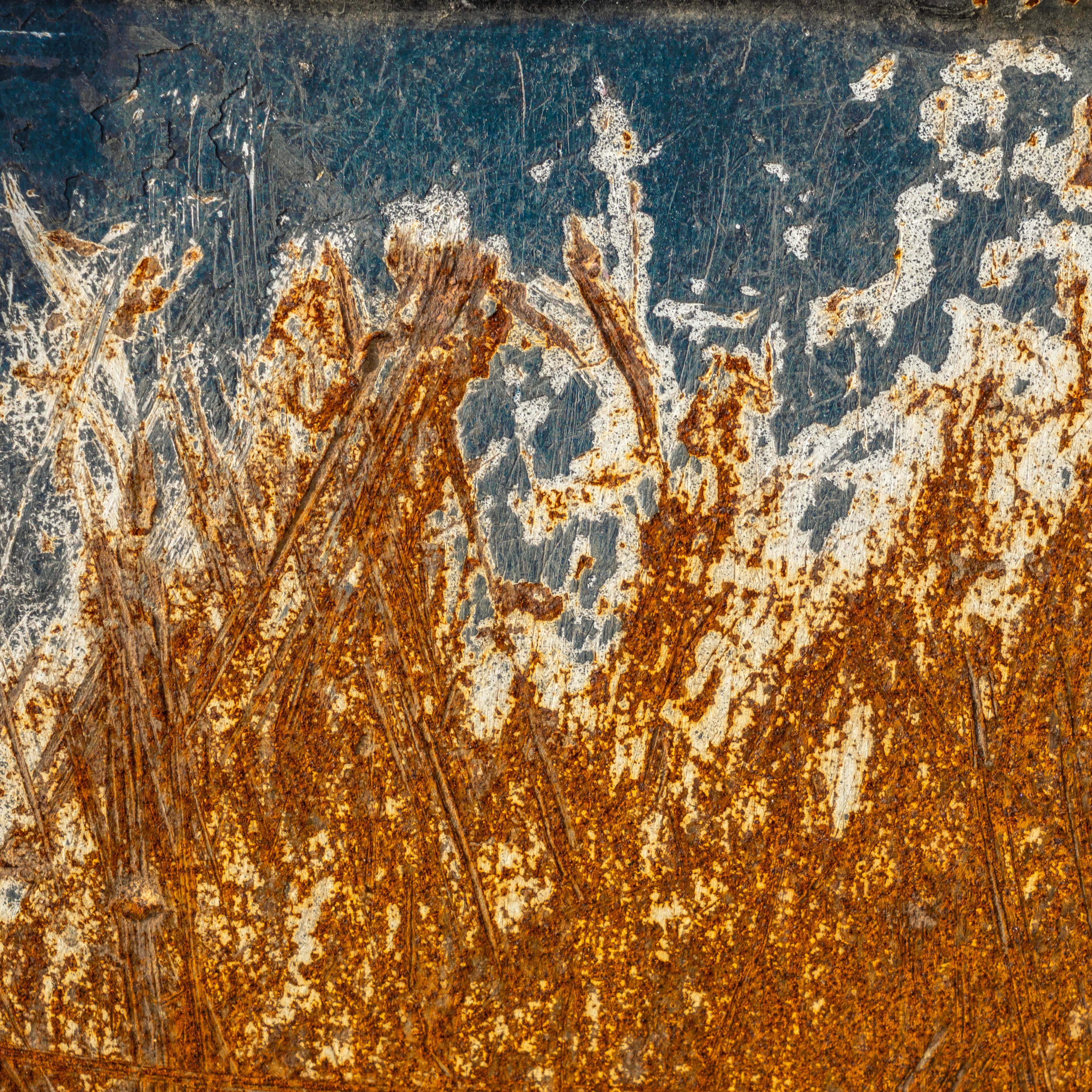 Fine-Art 5