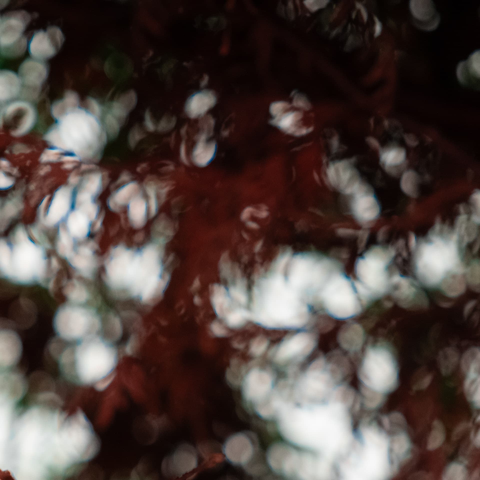 Fine-Art 11