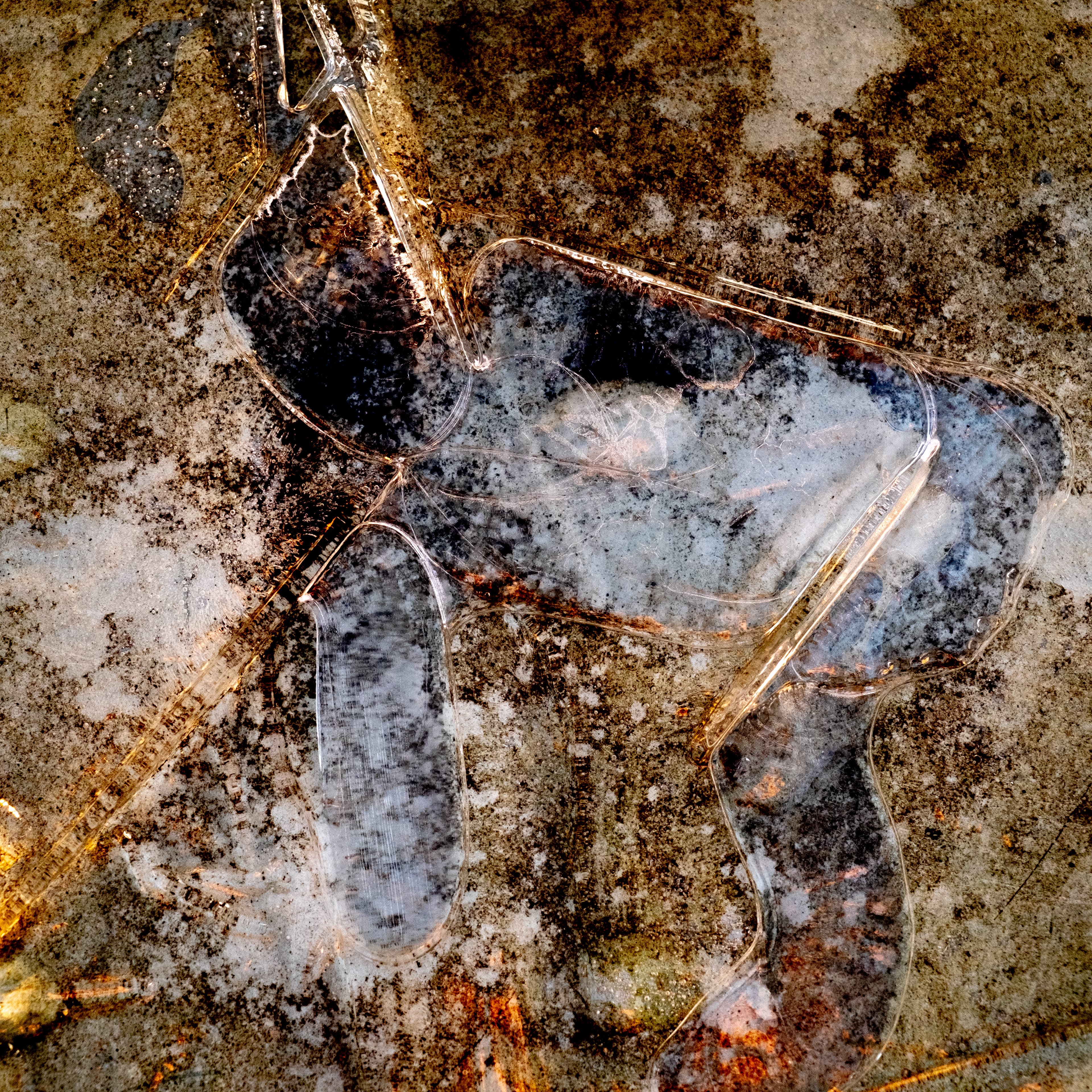 Fine-Art 18