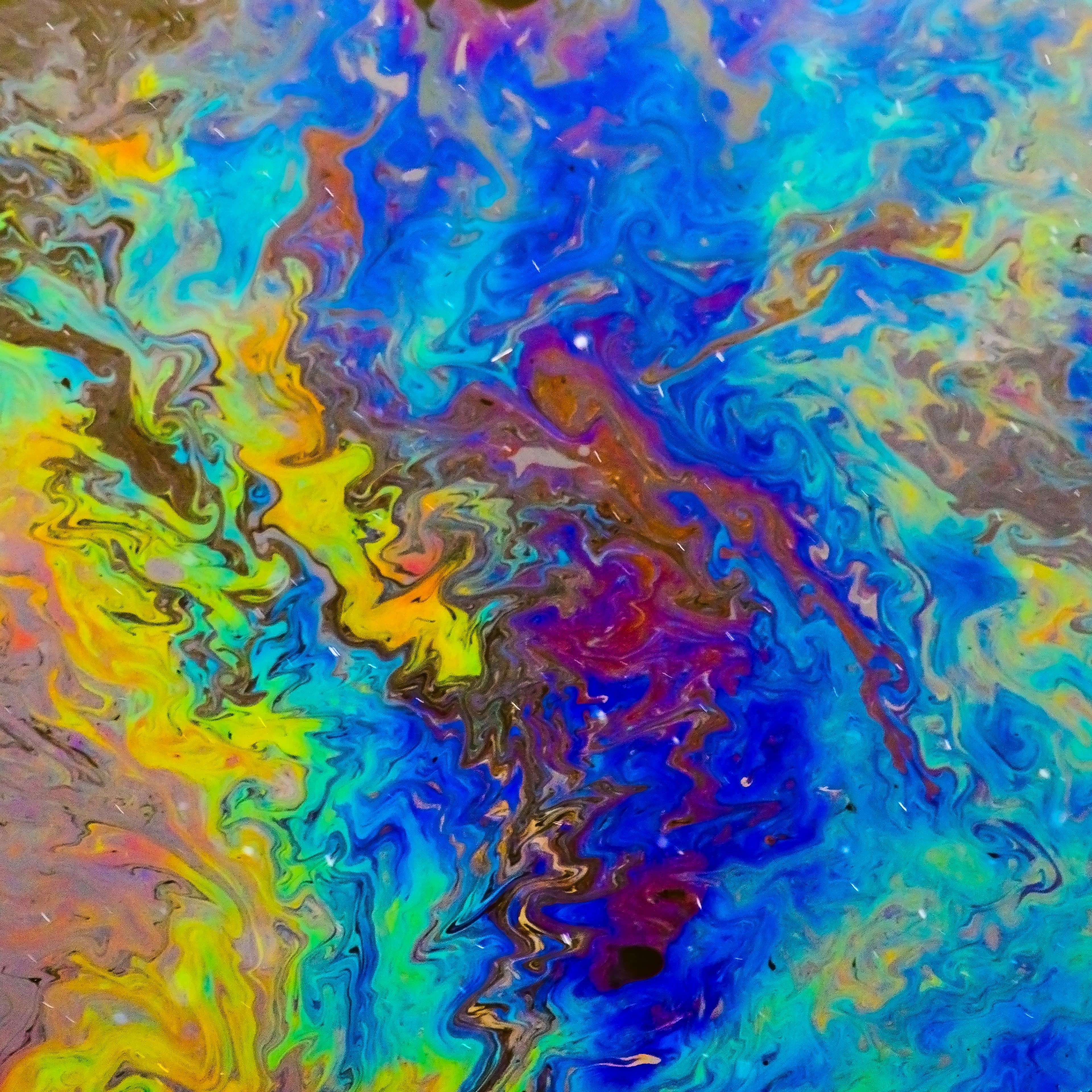 Fine-Art 43