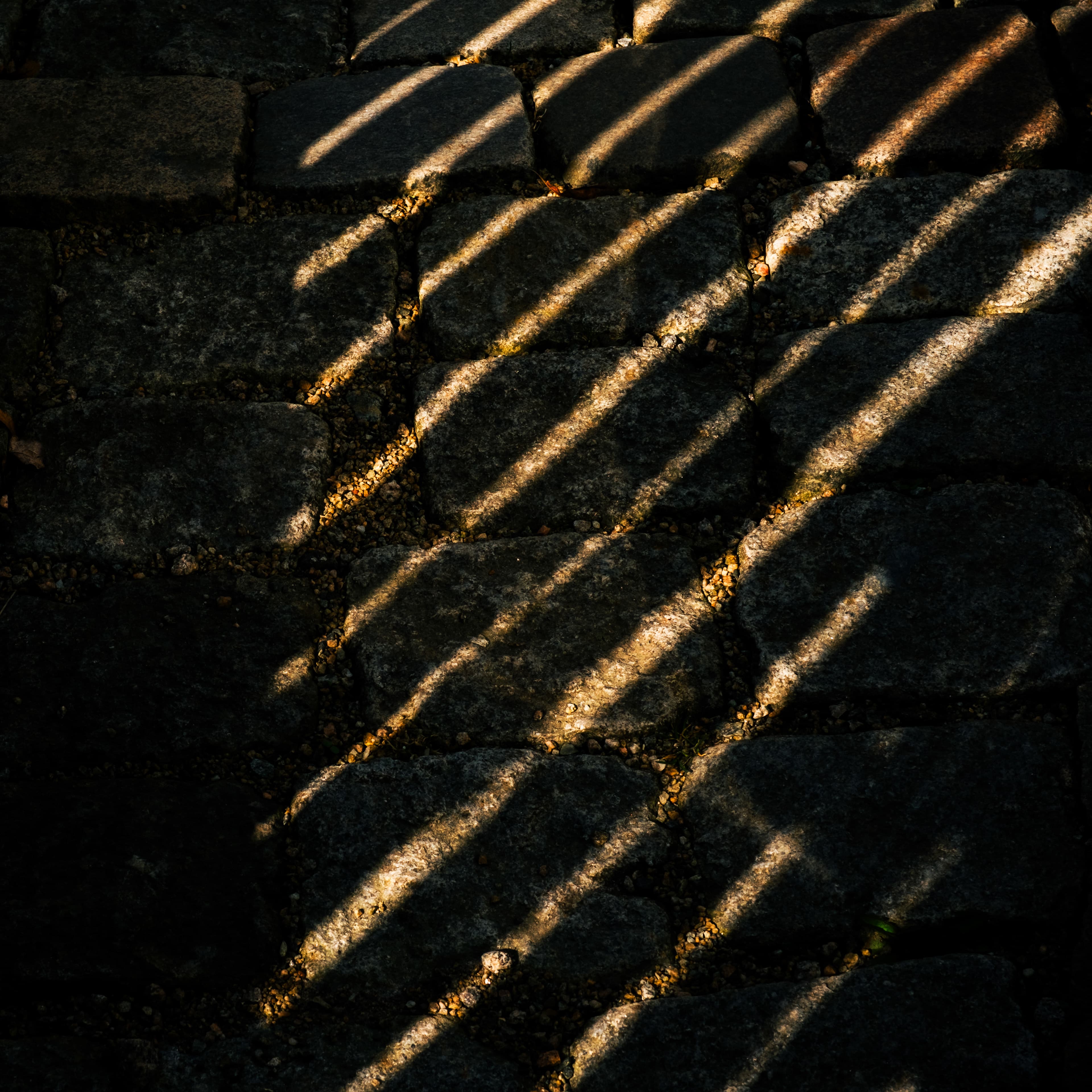 Fine-Art 52