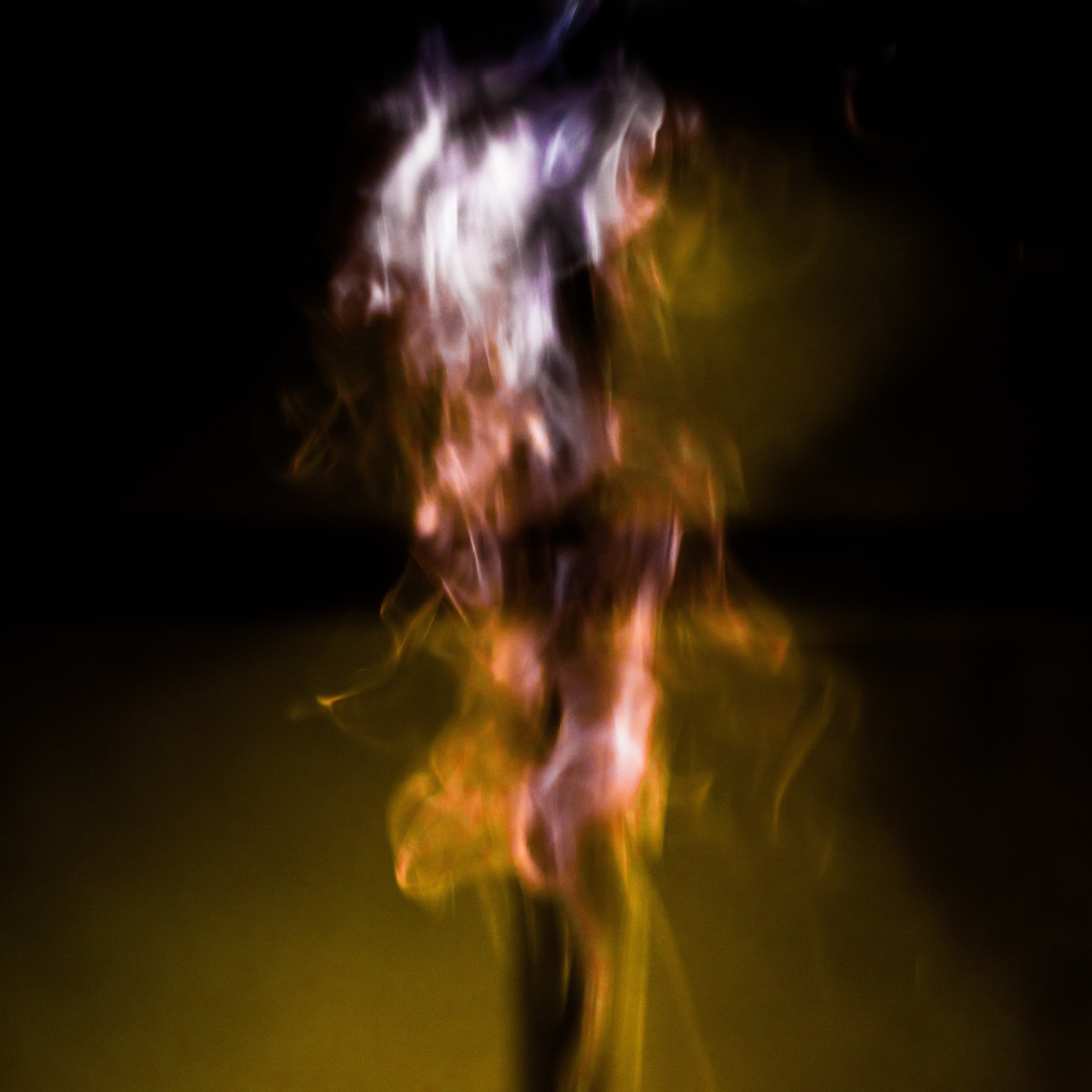 Fine-Art 55