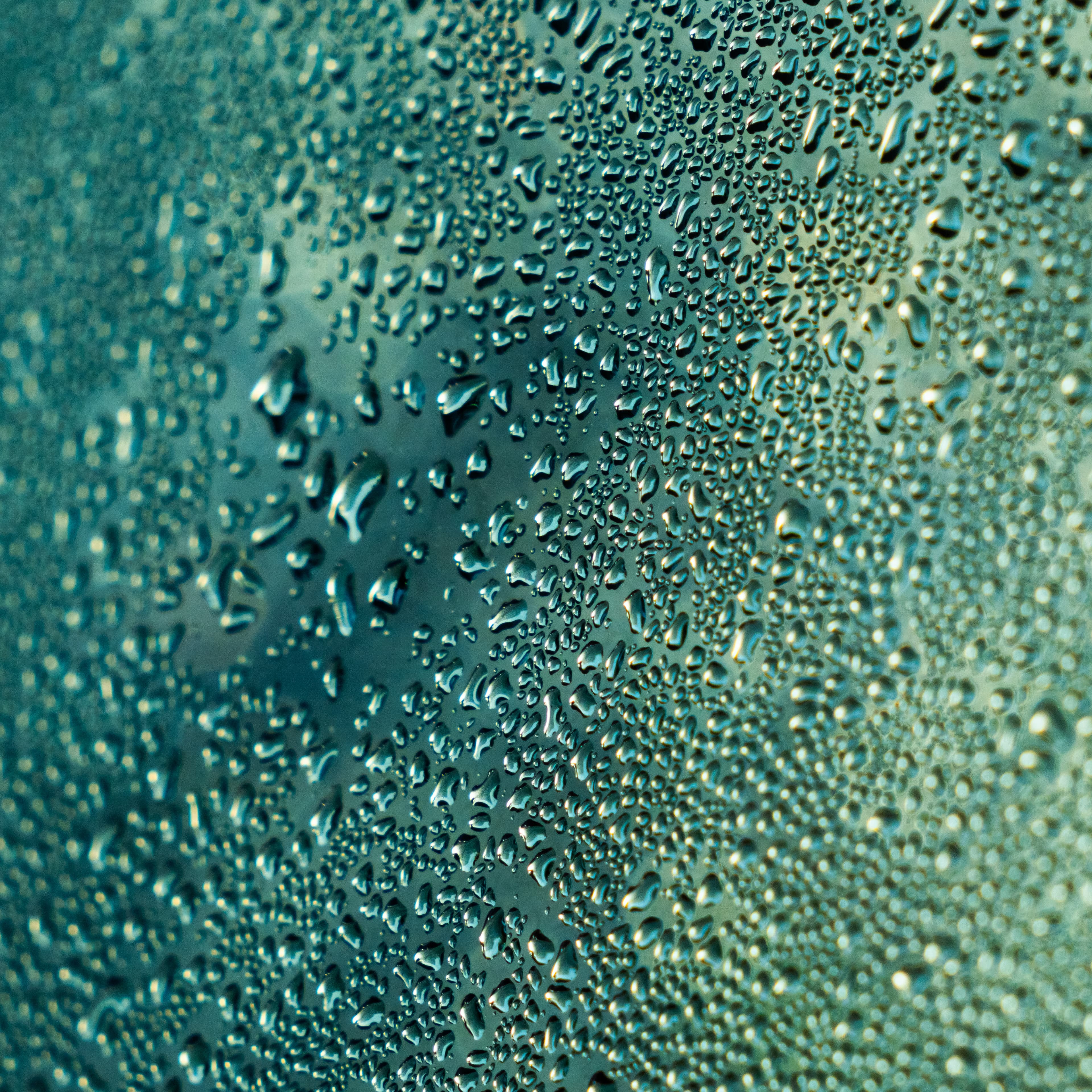 Fine-Art 56