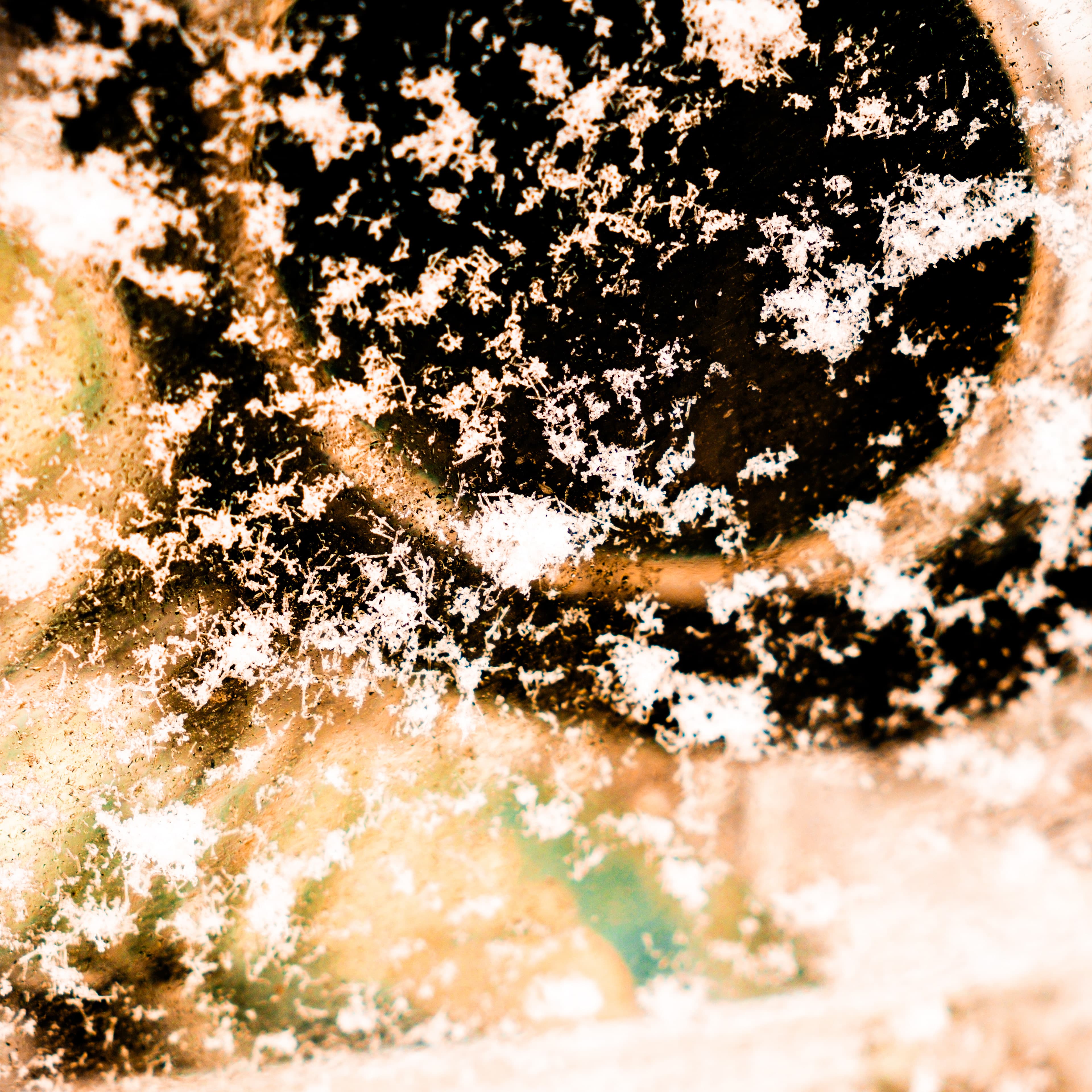 Fine-Art 67