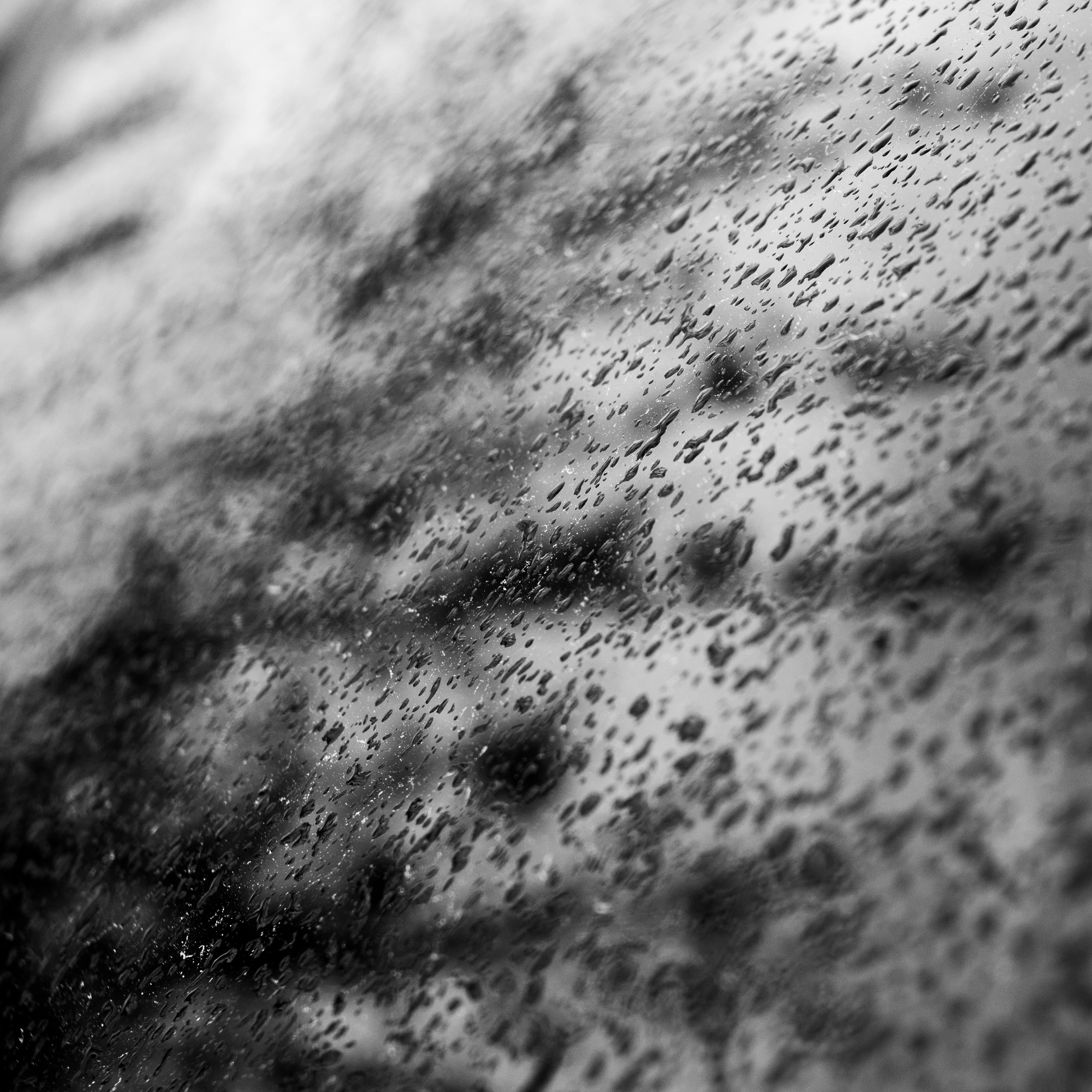Fine-Art 168