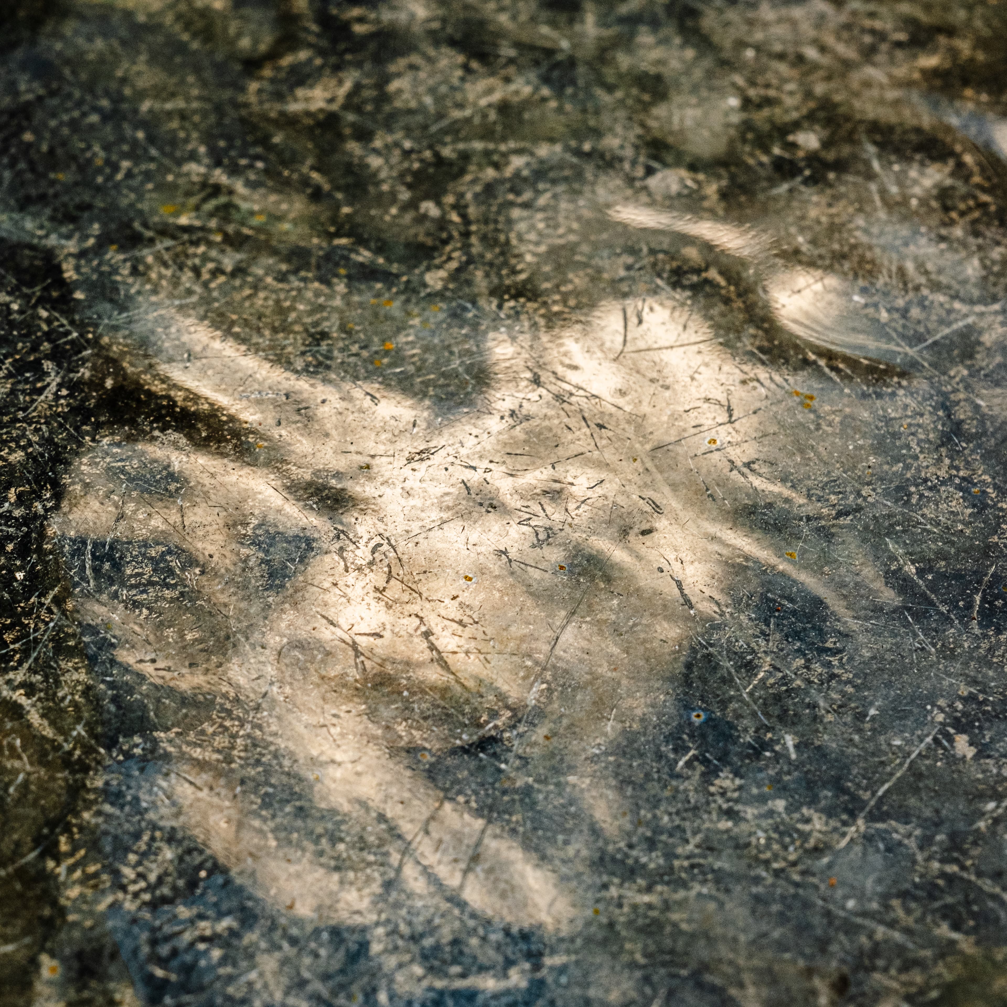 Fine-Art 171