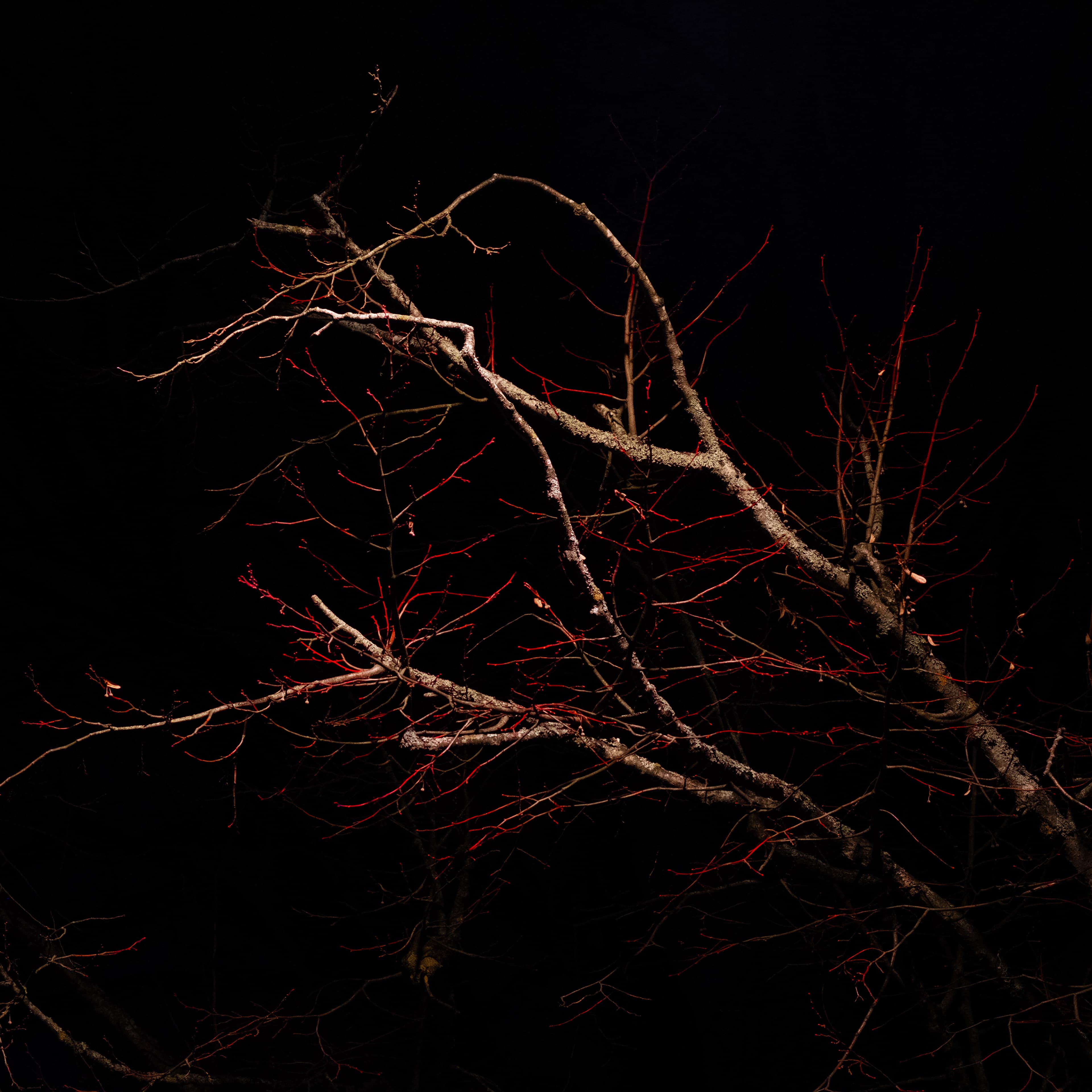 Fine-Art 128