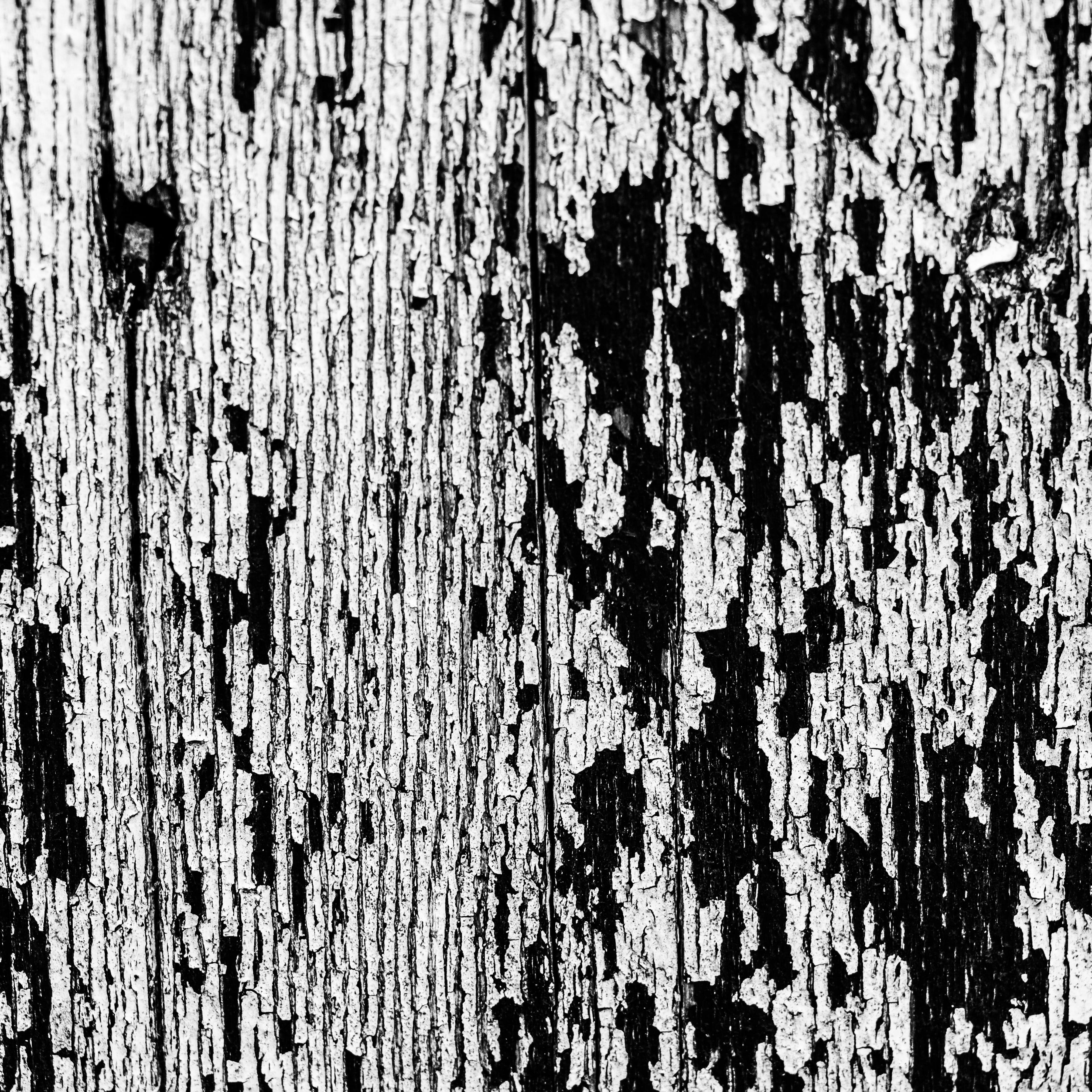 Fine-Art 129