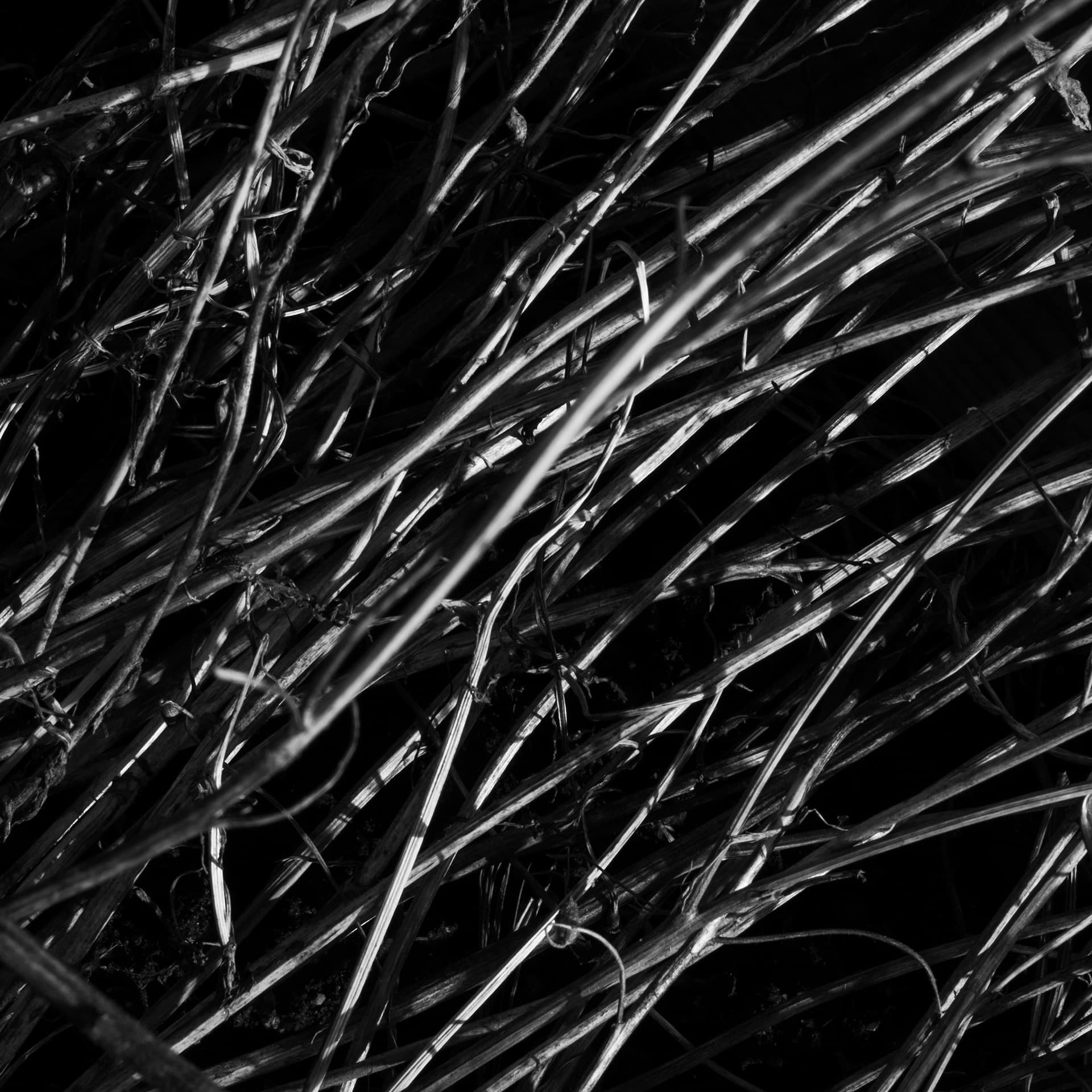 Fine-Art 83