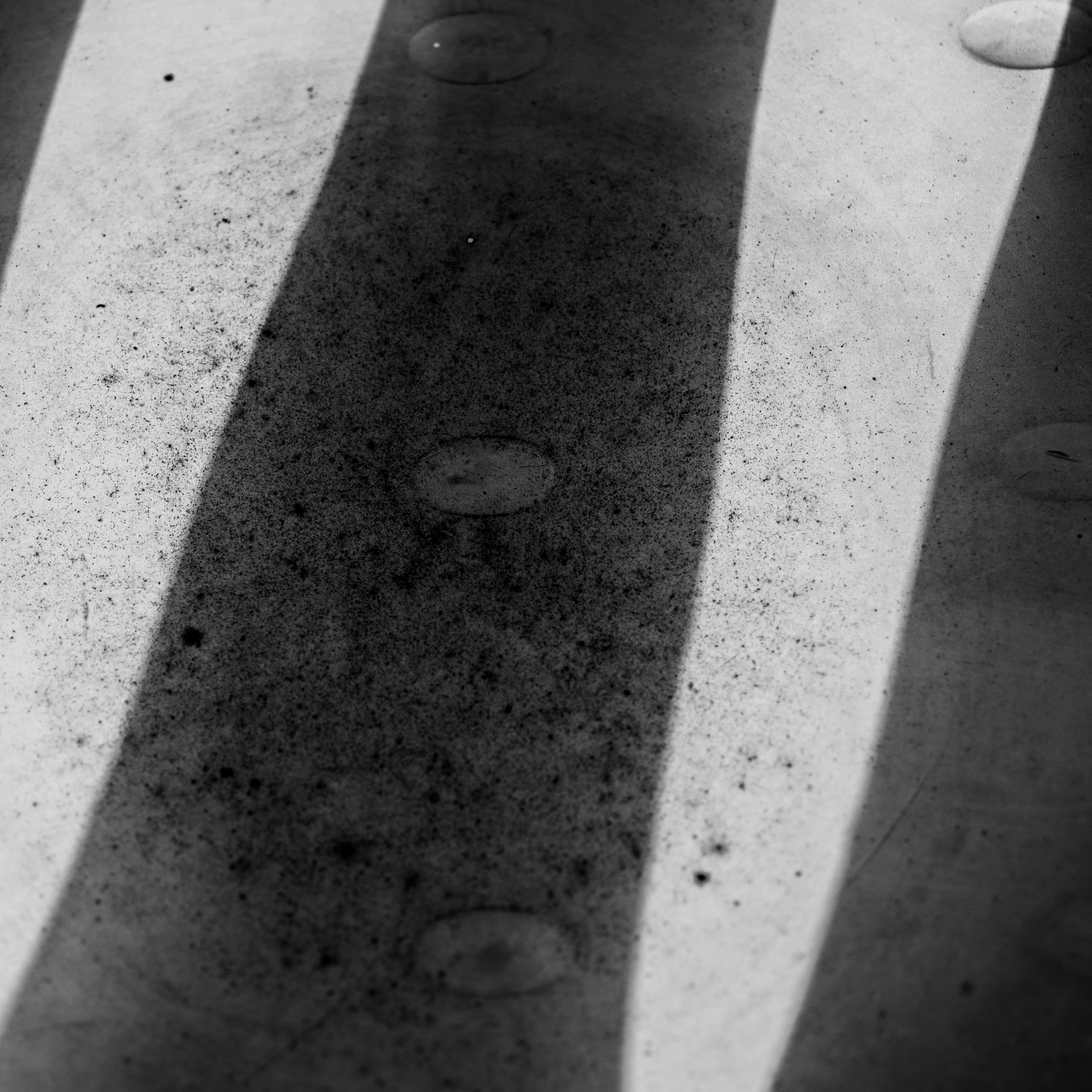 Fine-Art 84