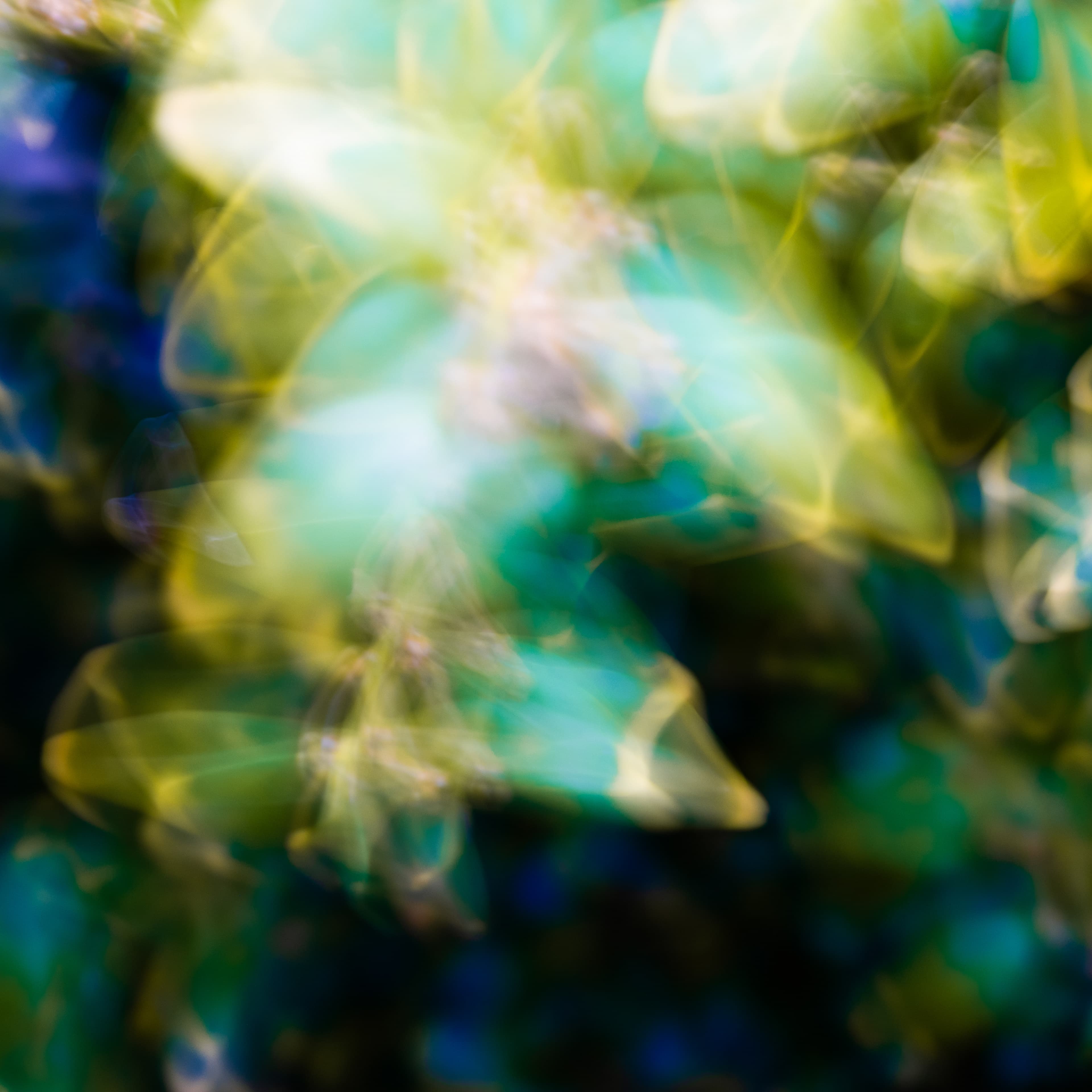 Fine-Art 87