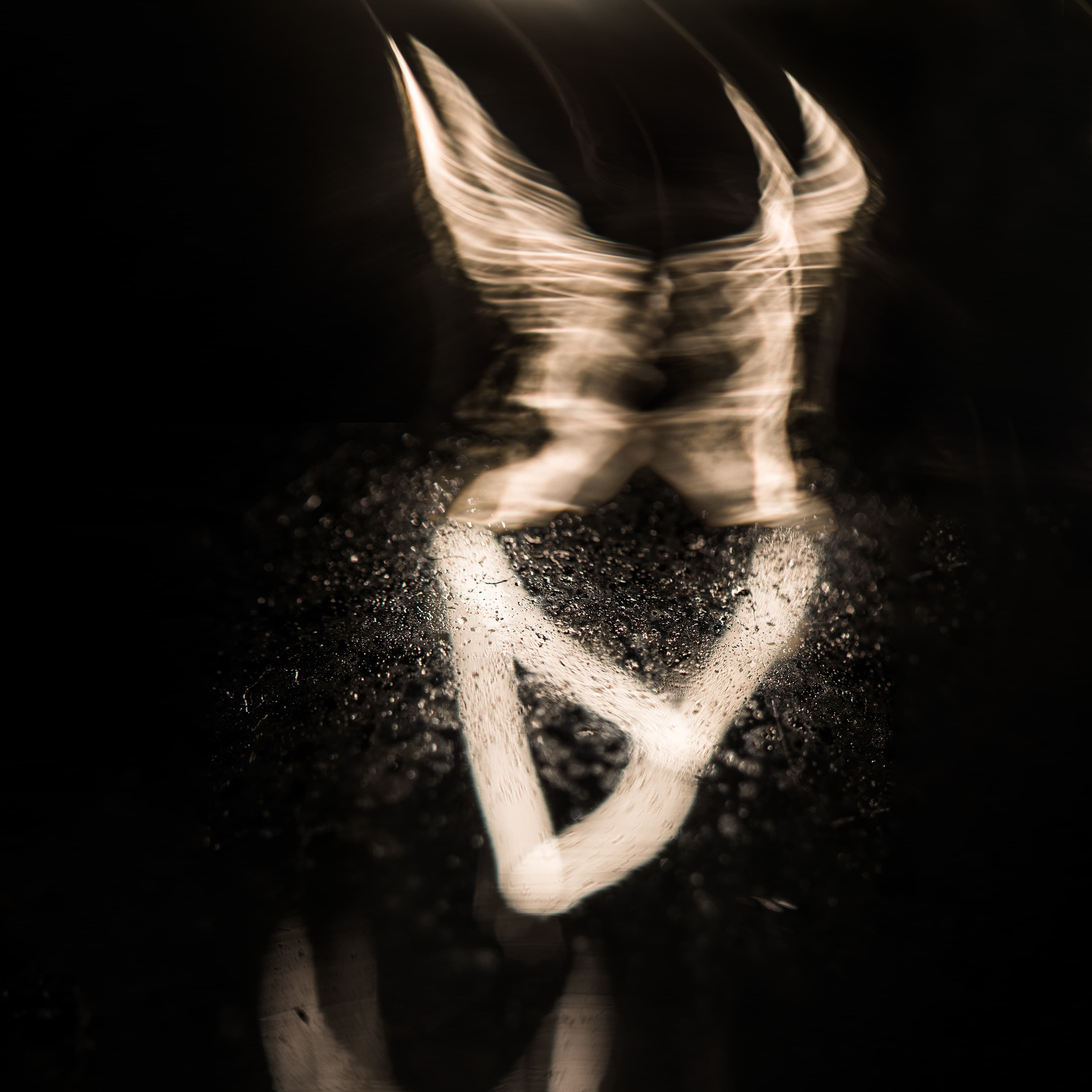 Fine-Art 192