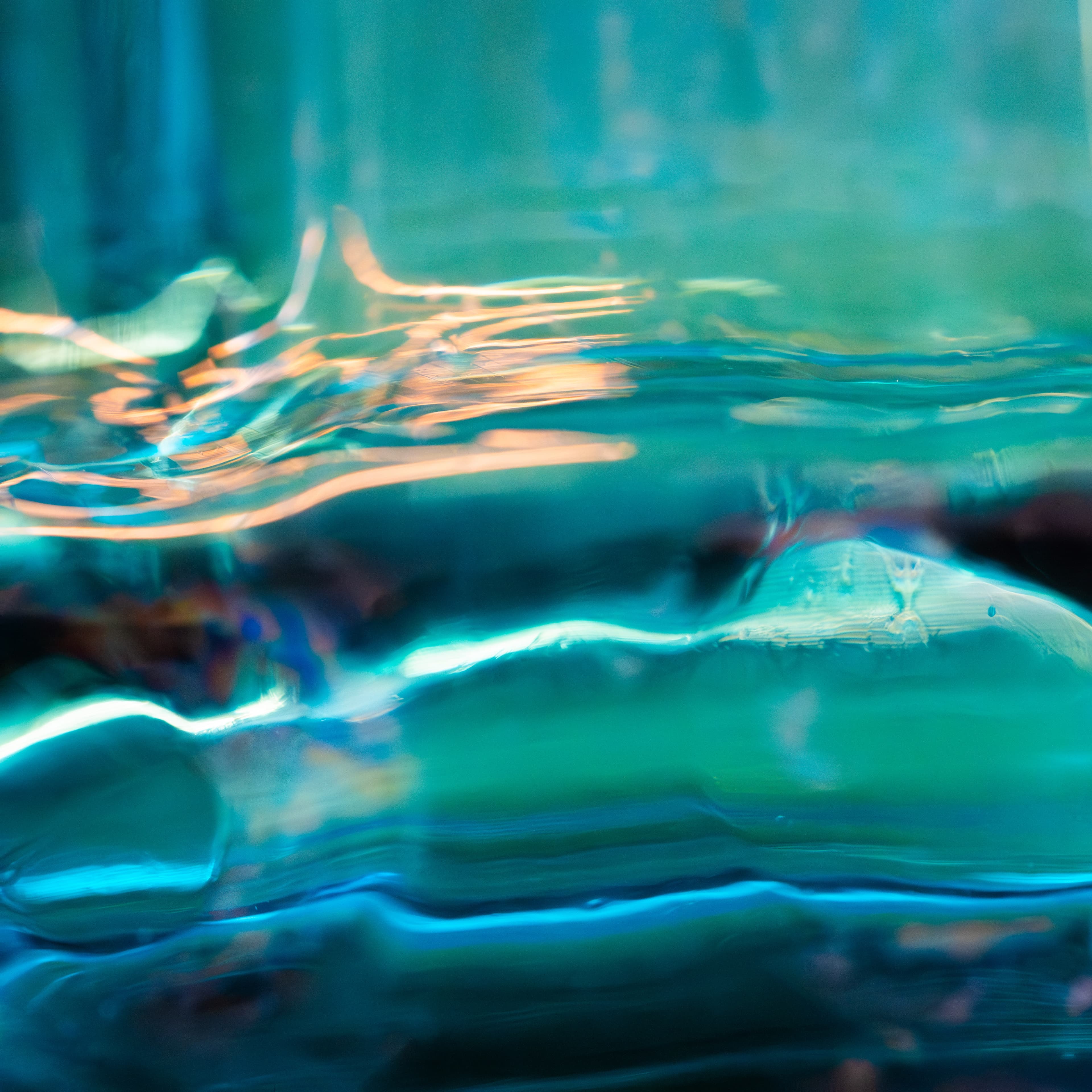 Fine-Art 202