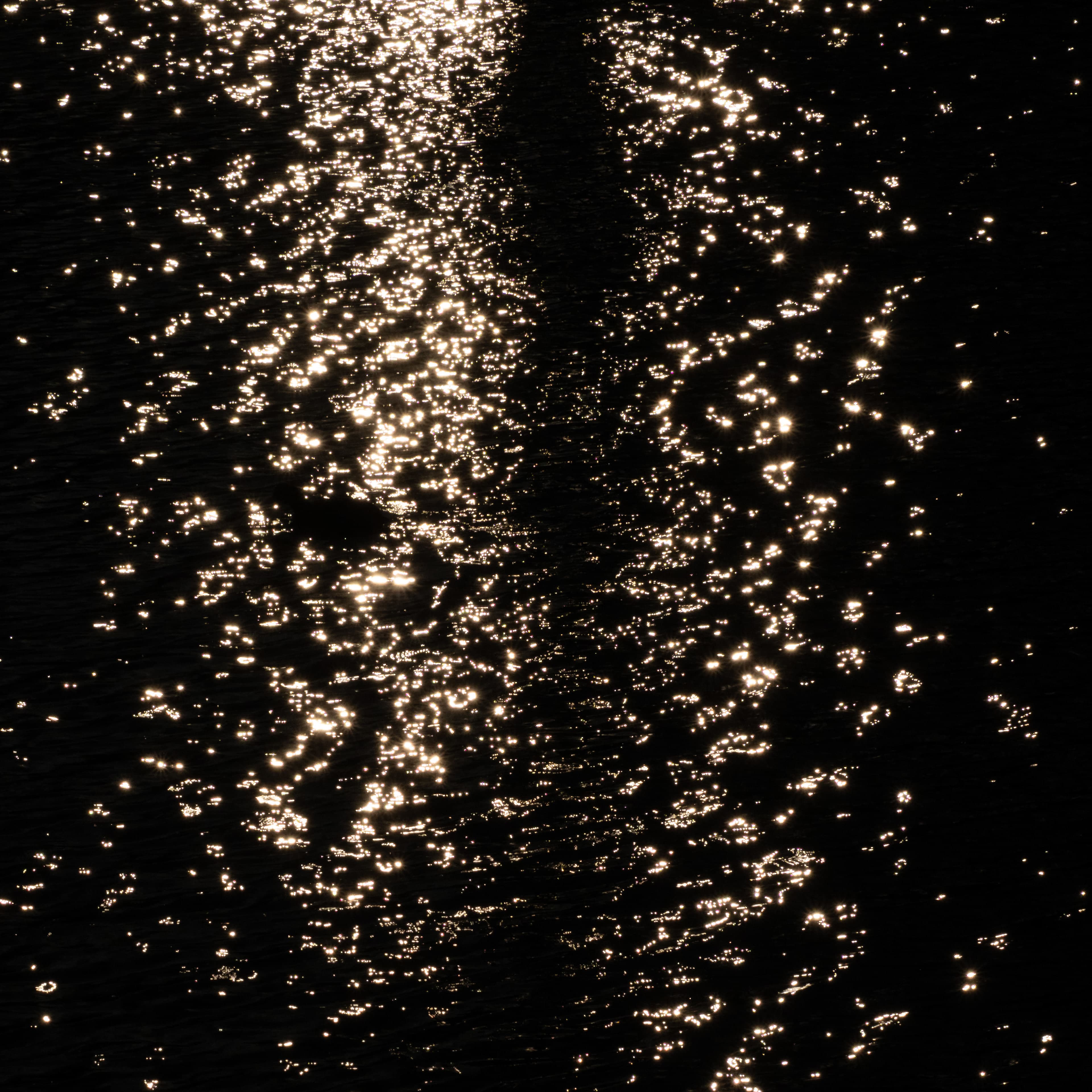 Fine-Art 212