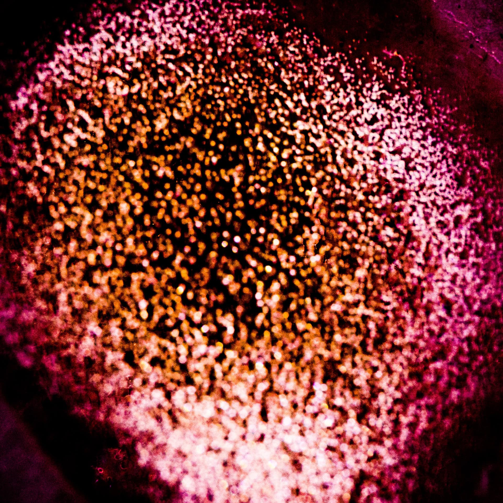 Fine-Art 226
