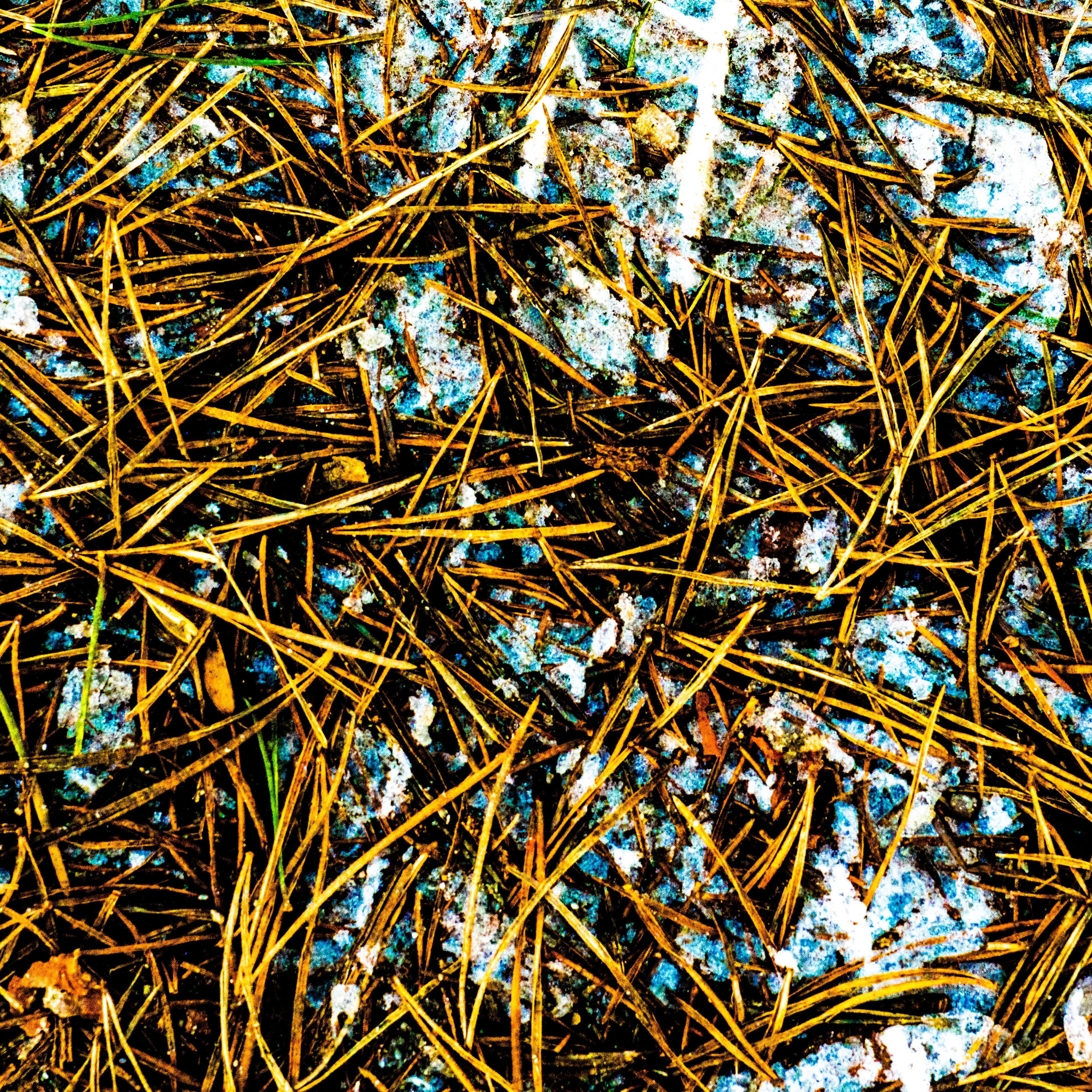 Fine-Art 232