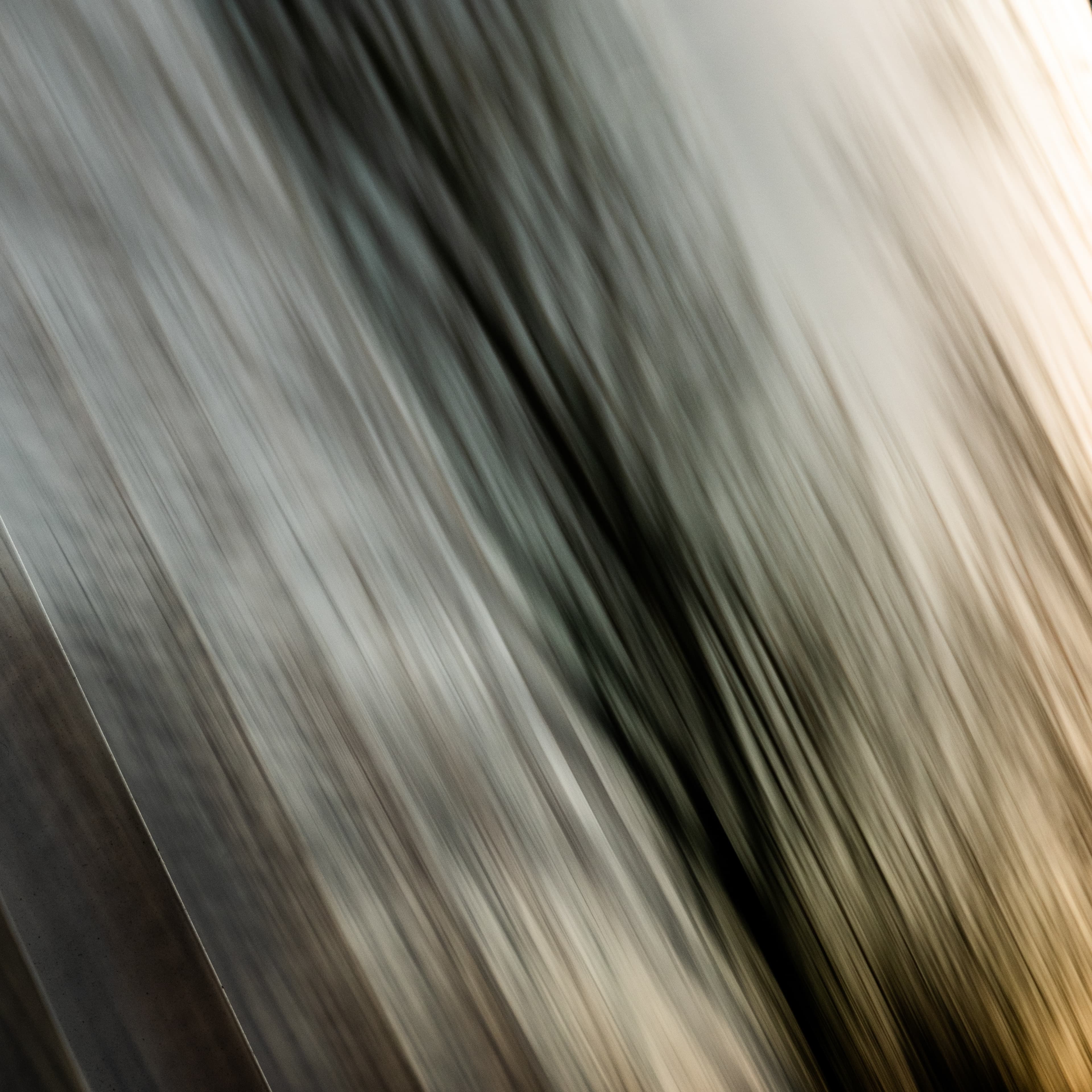 Fine-Art 248