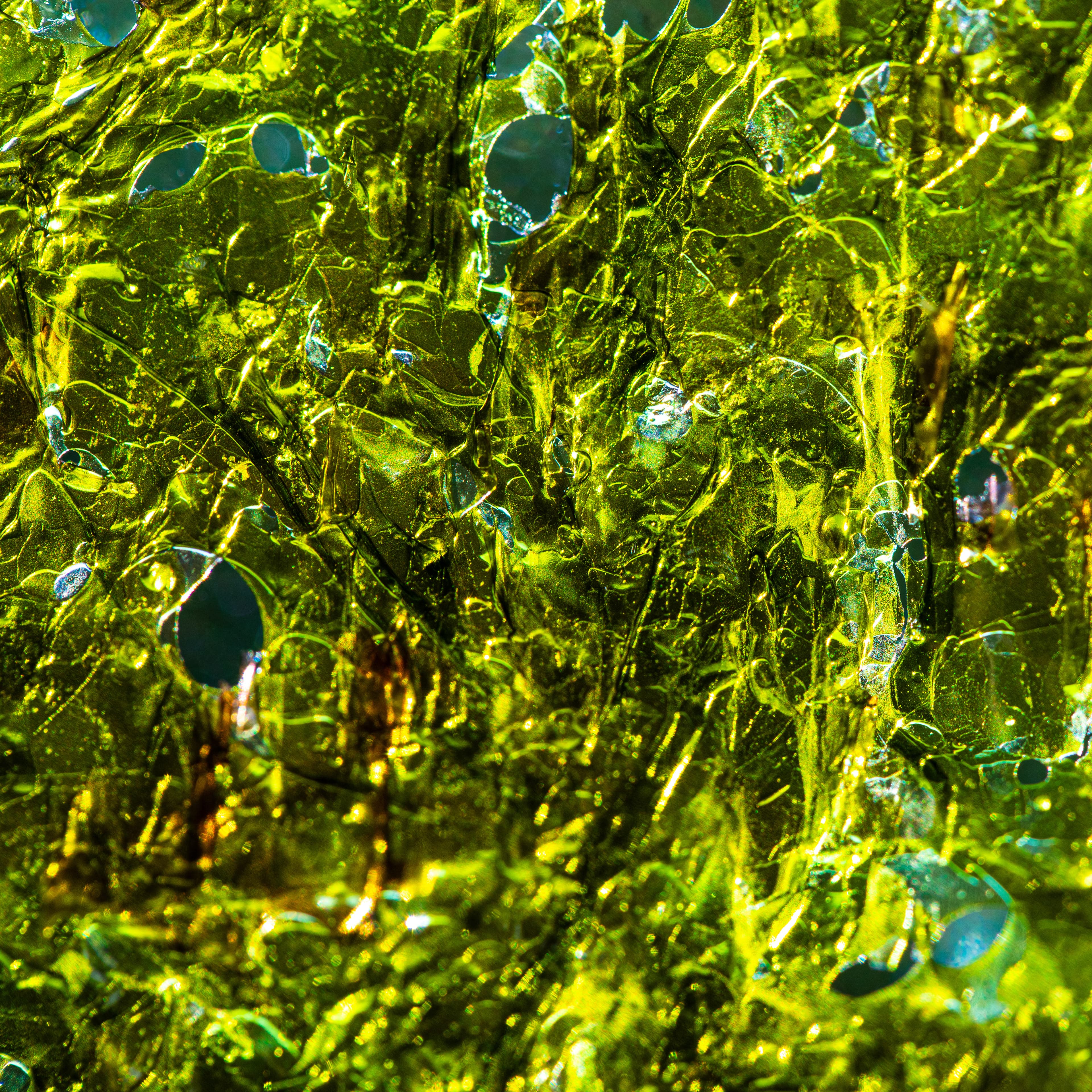 Fine-Art 249