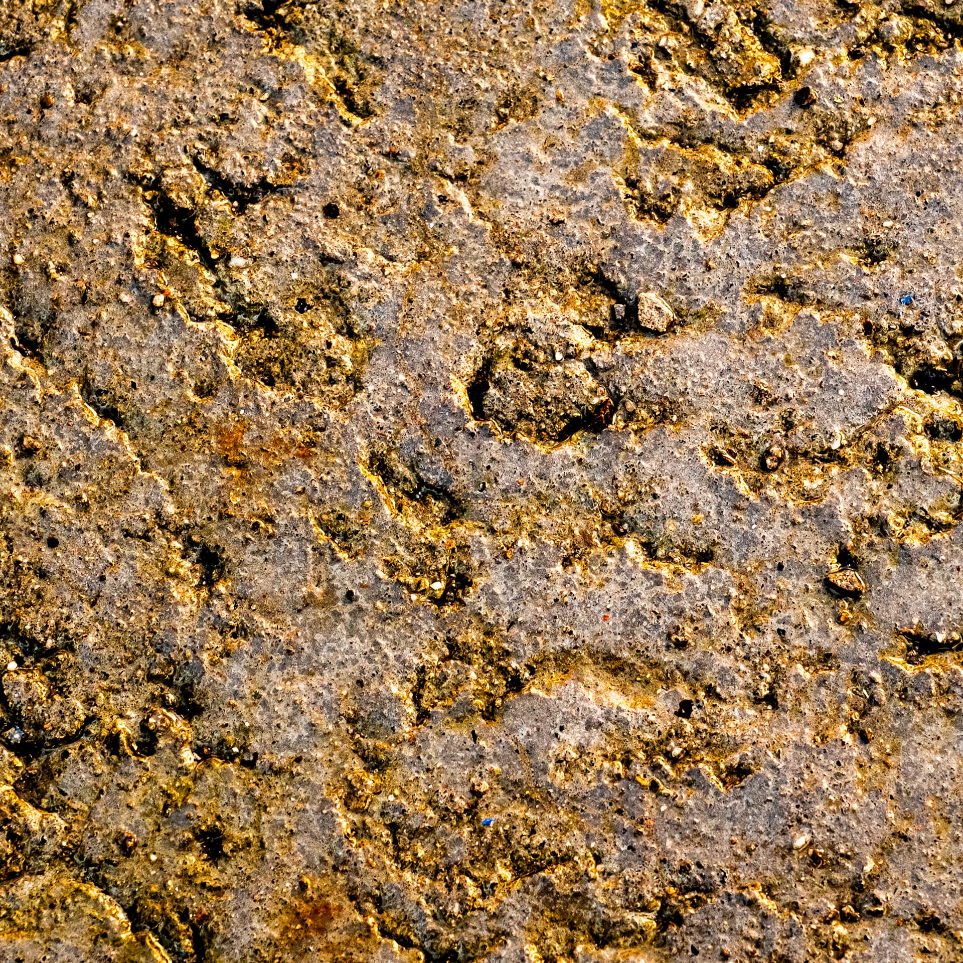 Fine-Art 262