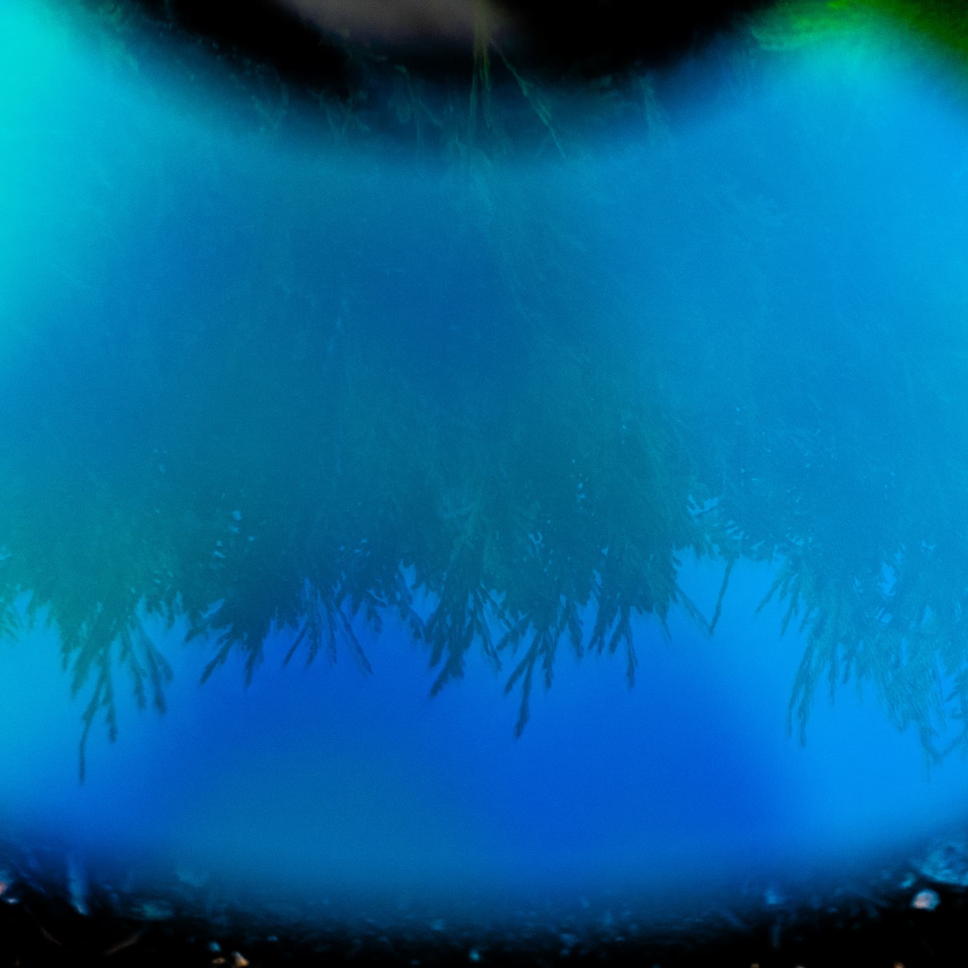 Fine-Art 276