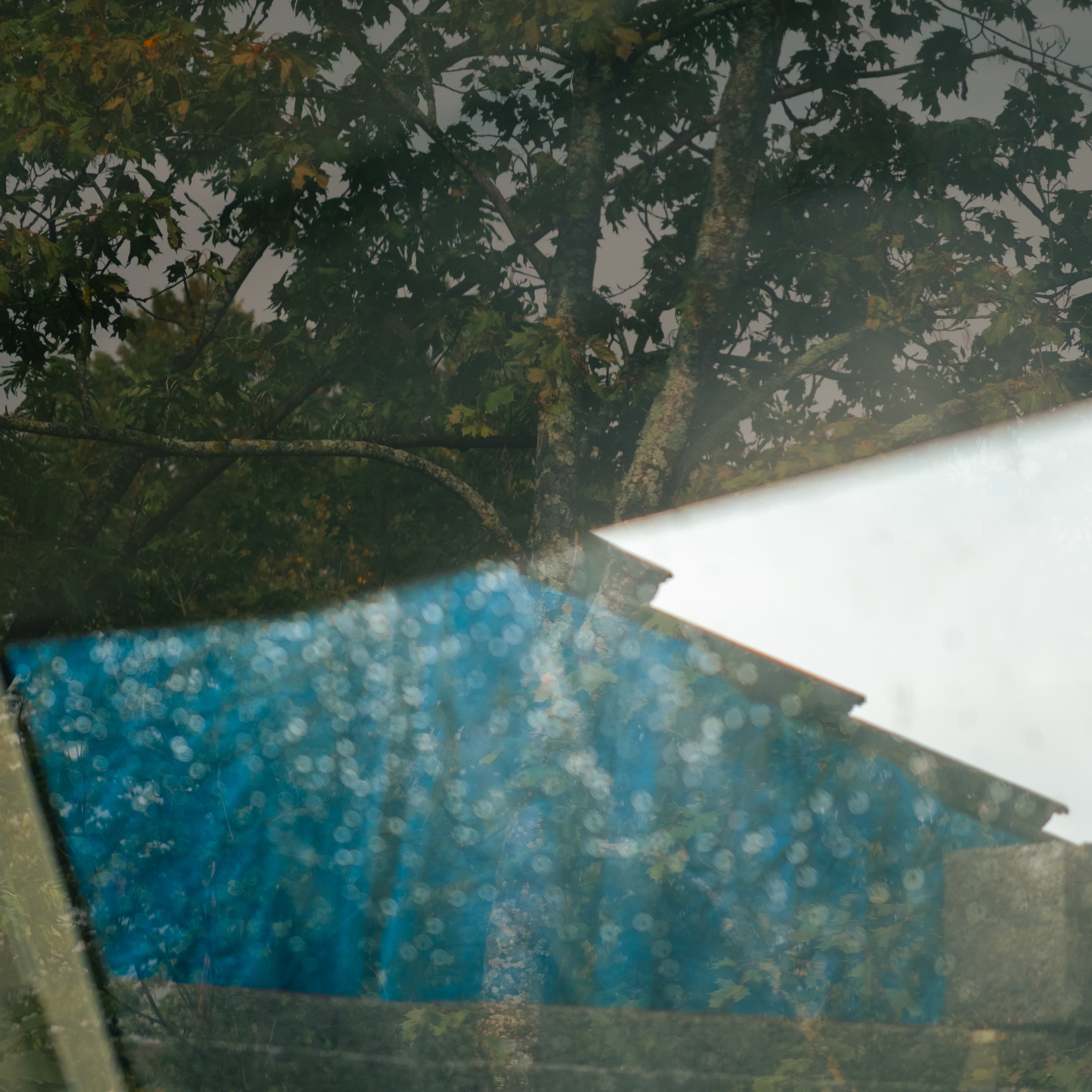 Fine-Art 280