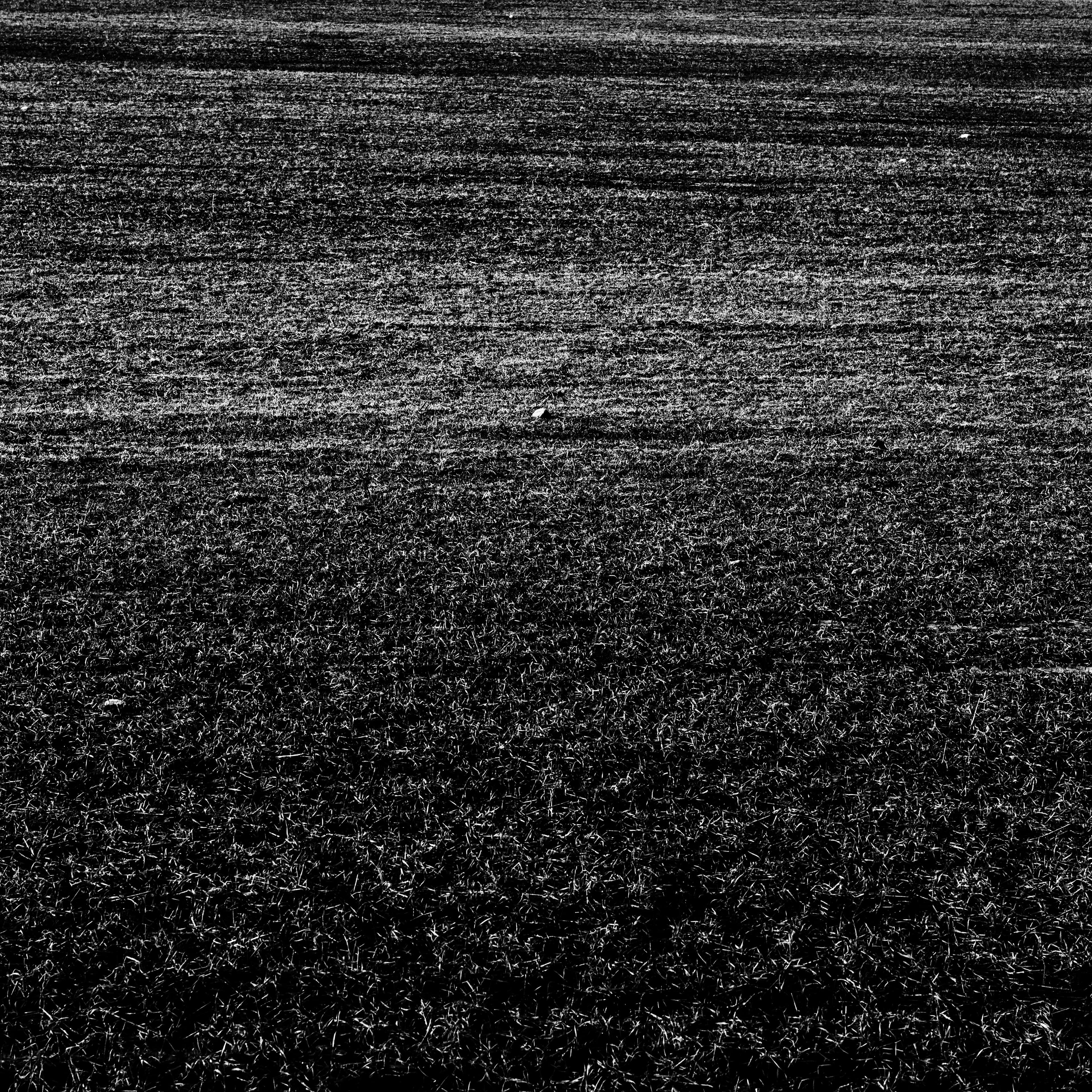 Fine-Art 282