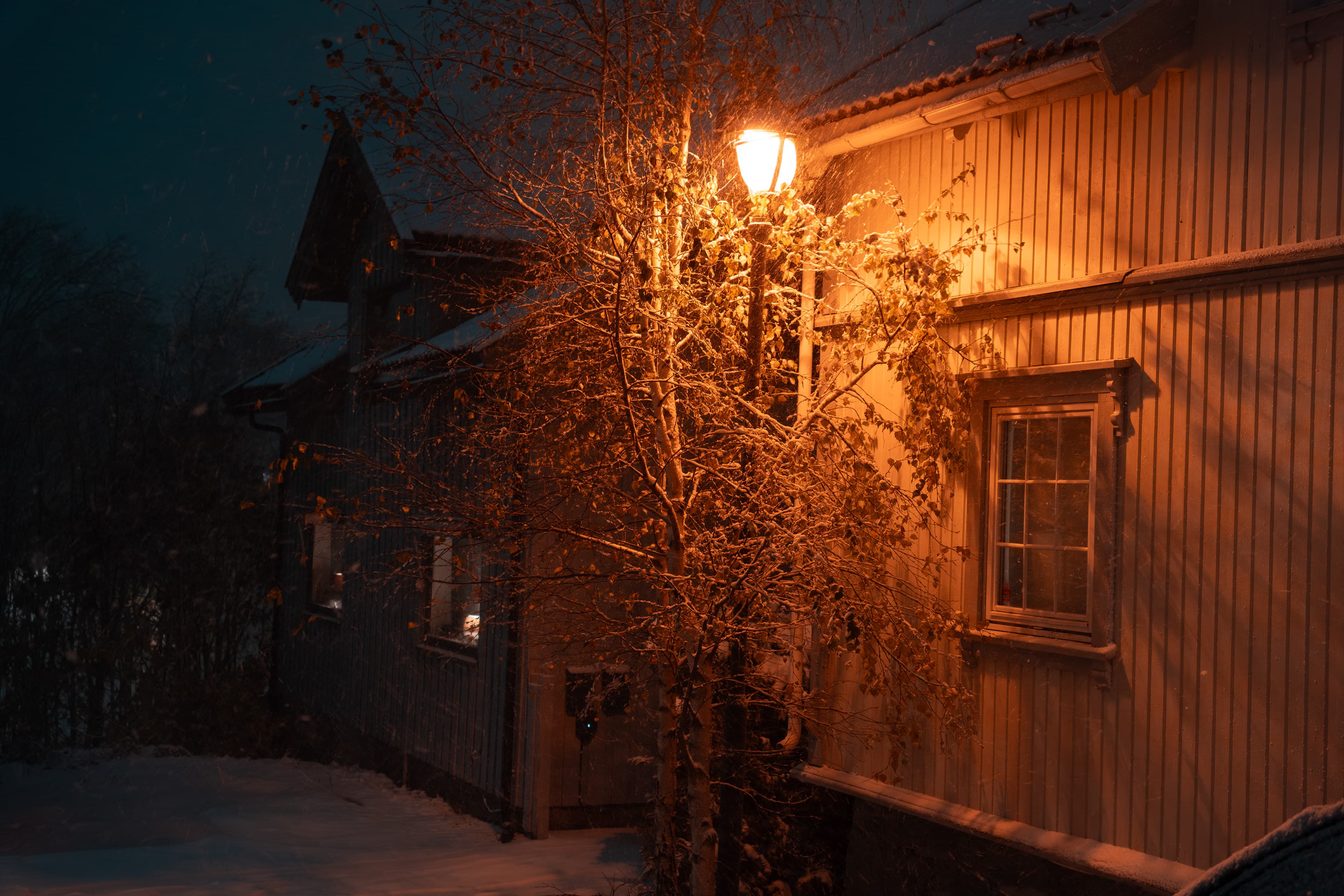 My Neighborhood At Night 22