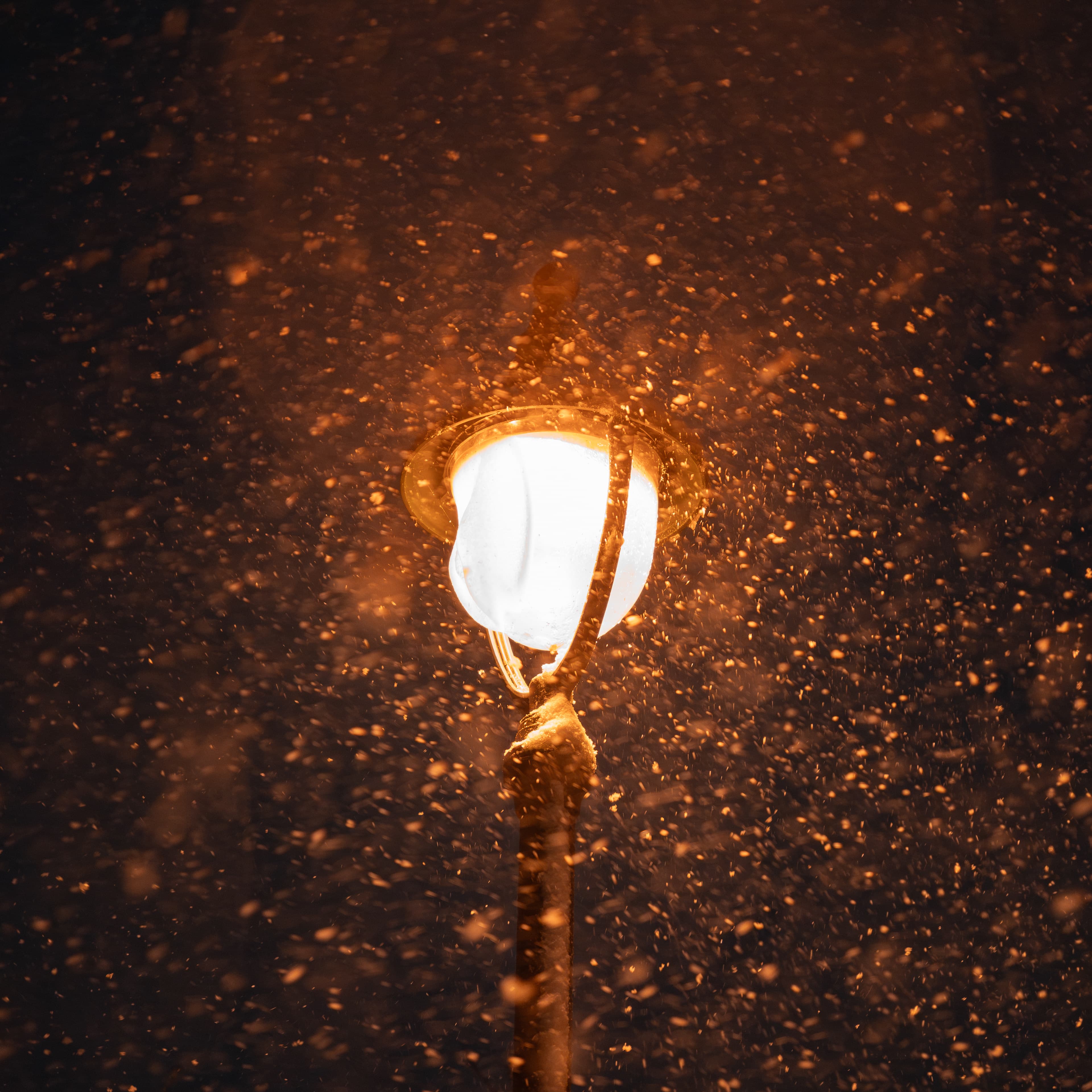 My Neighborhood At Night 7