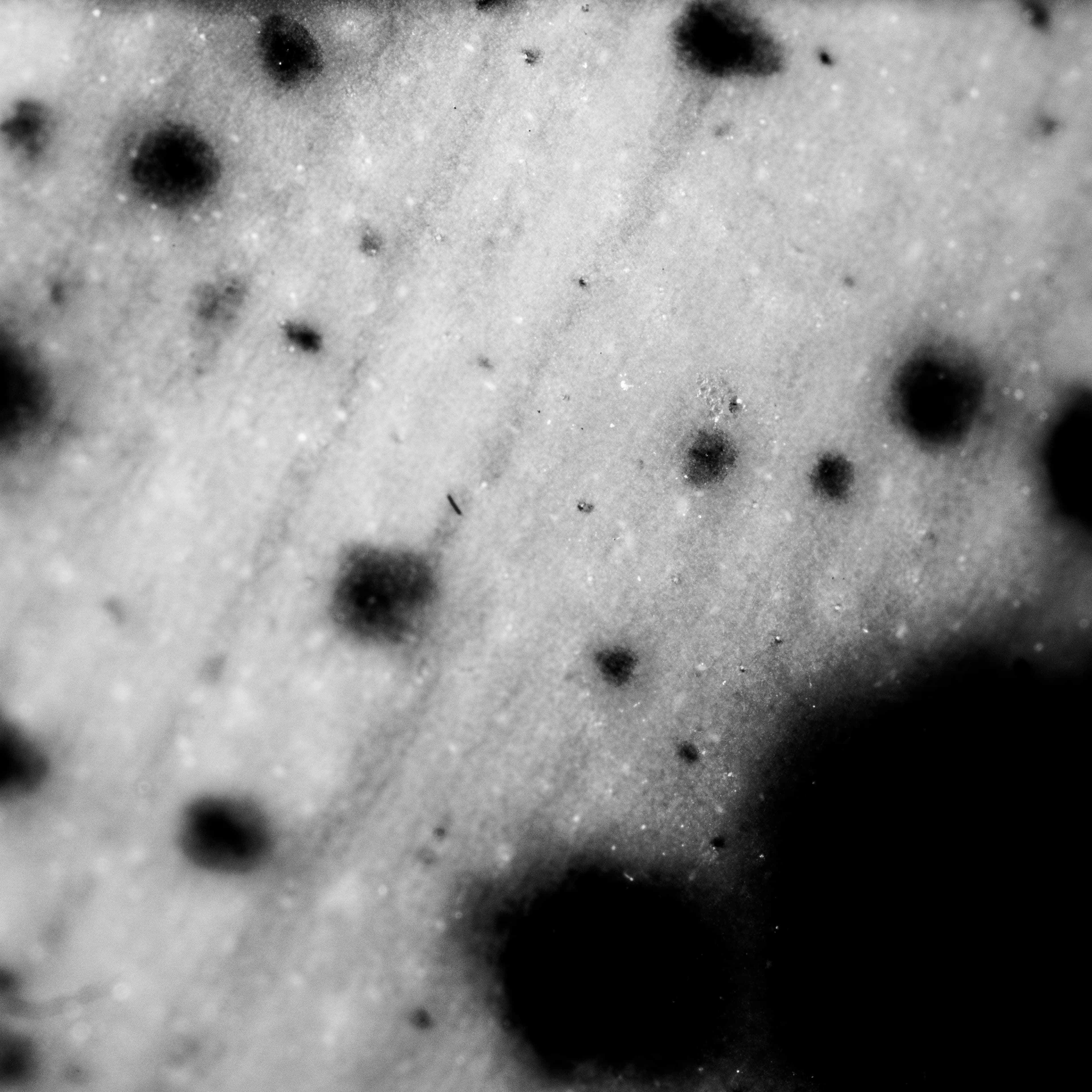 Textures We Forget 2