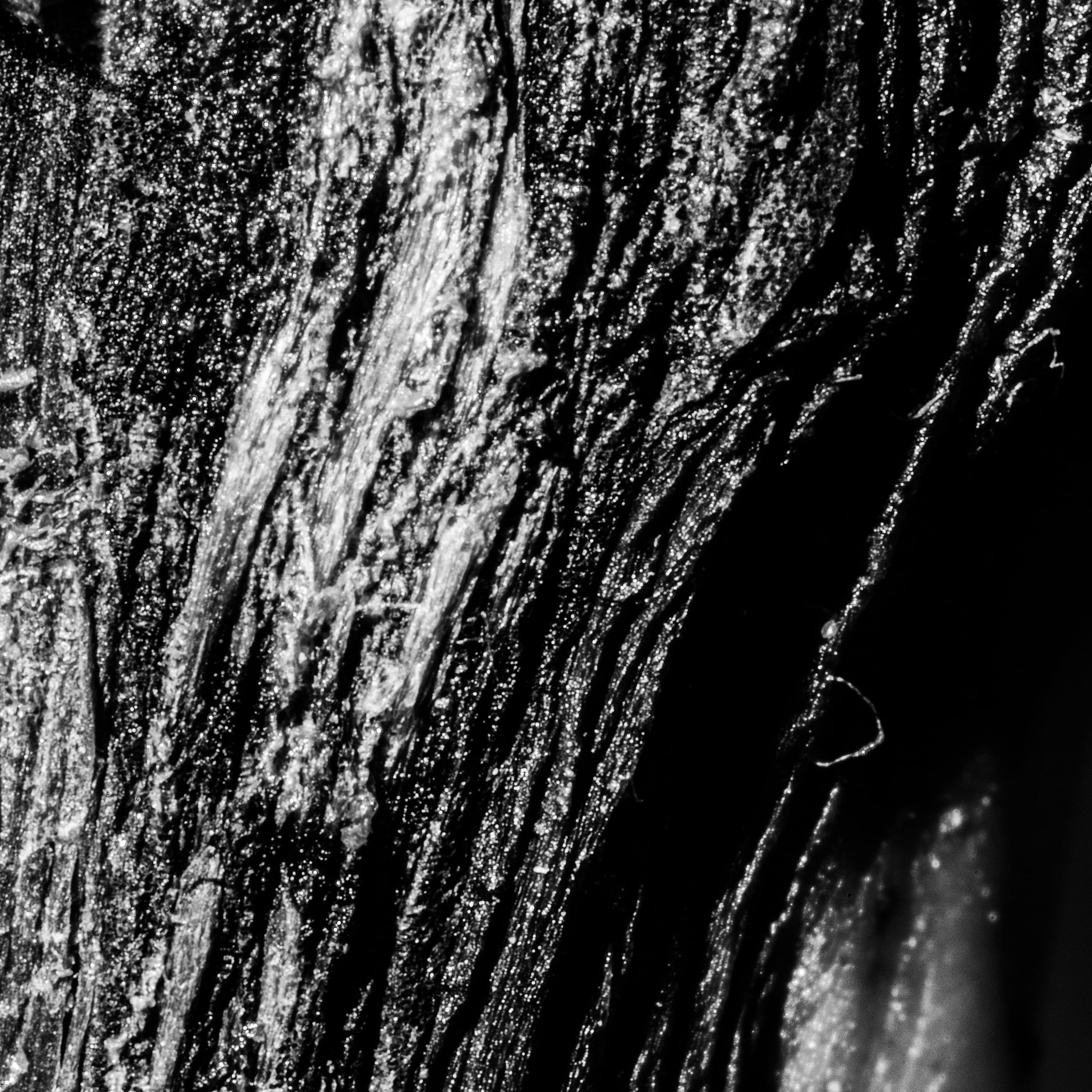 Textures We Forget 7