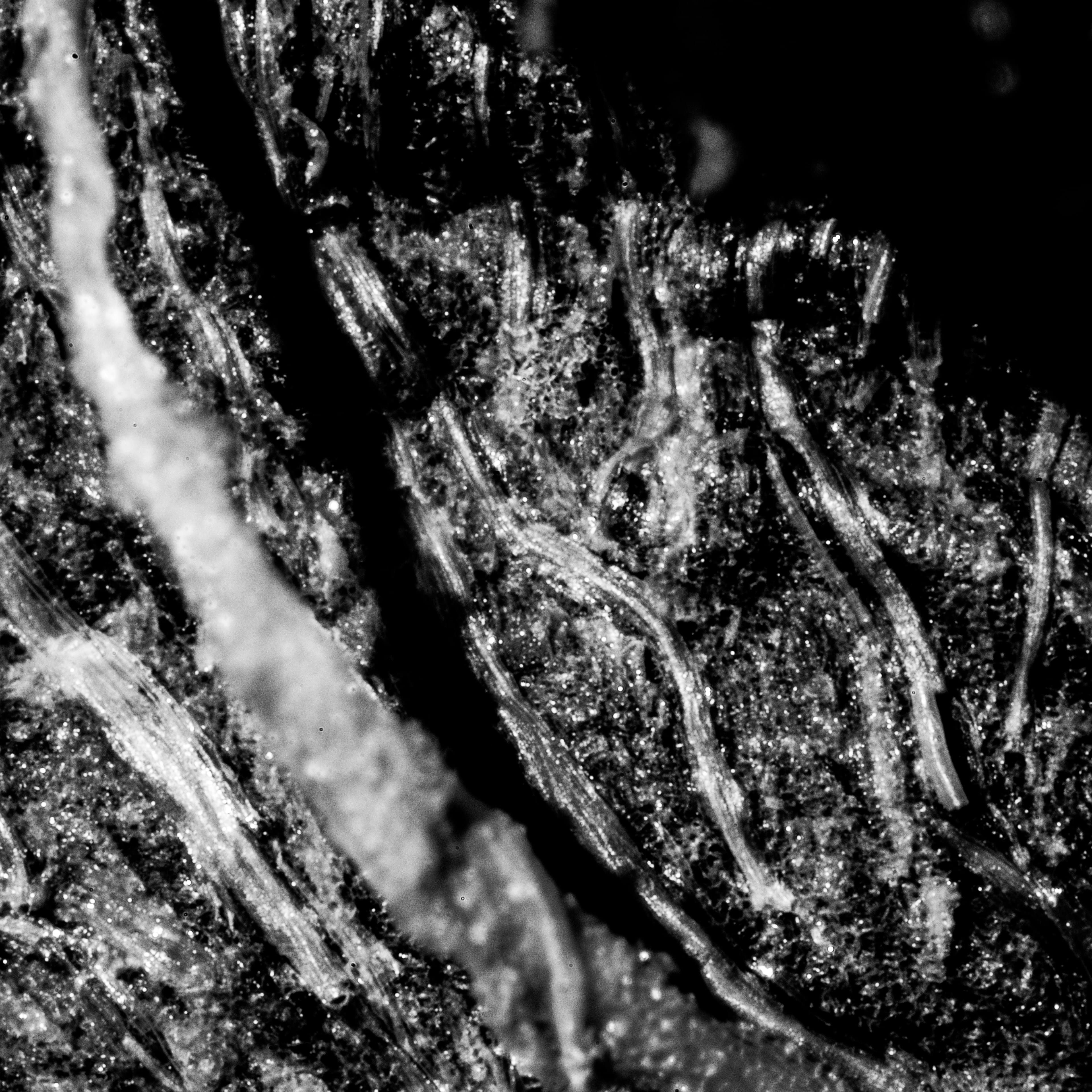 Textures We Forget 12